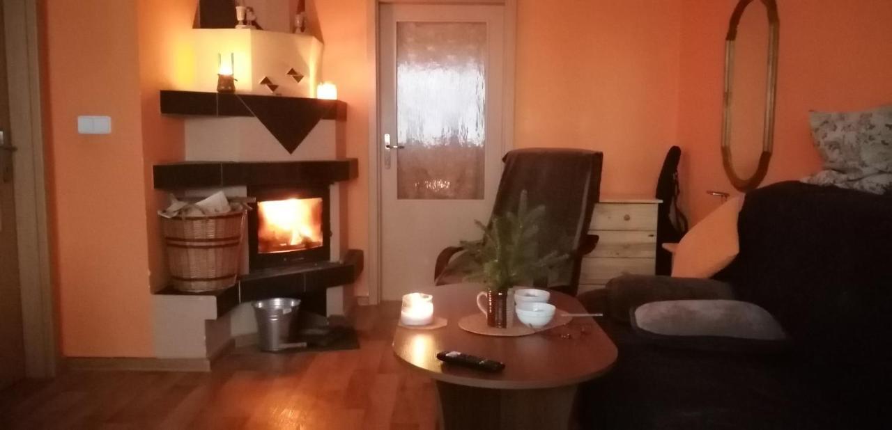 Plne Vybaveny 2+1Byt S Balkonem A Koji Pro Kola A Lyze. Rokytnice v Orlických Horách Extérieur photo