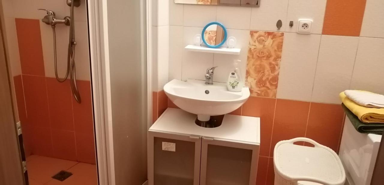 Plne Vybaveny 2+1Byt S Balkonem A Koji Pro Kola A Lyze. Rokytnice v Orlických Horách Extérieur photo